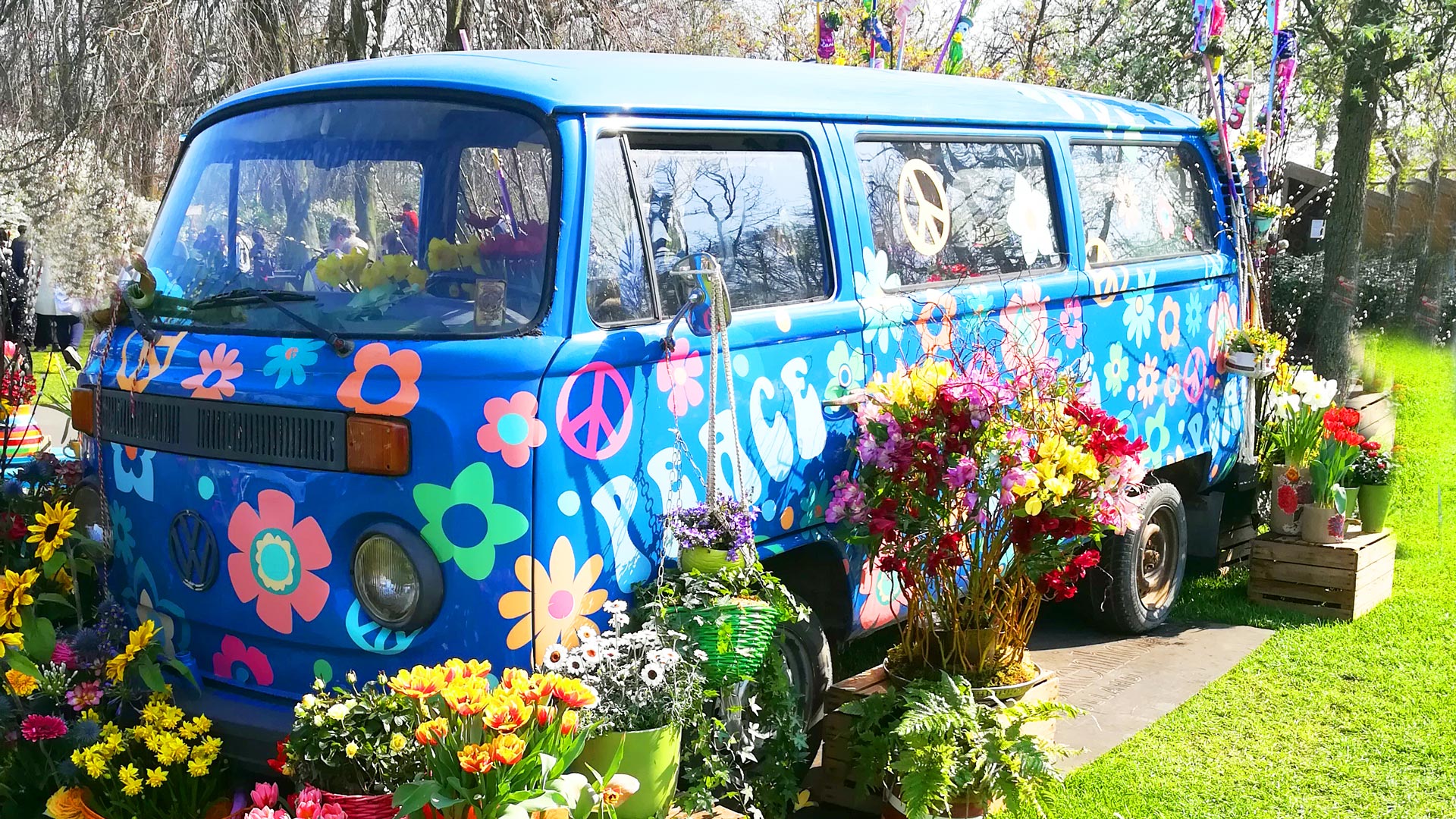 Busreise Holland Keukenhof Blauer VW Bulli mit bunten Blumen bedruckt und Blumen davor