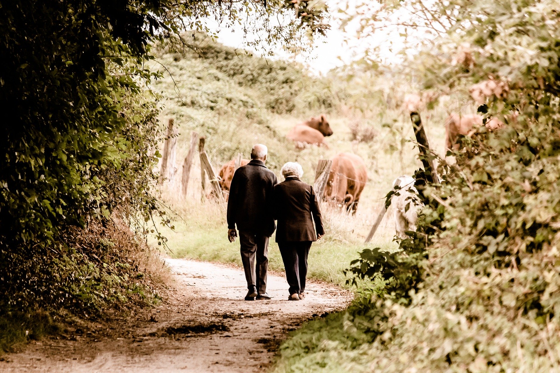 Älteres Paar sazierend im Wald