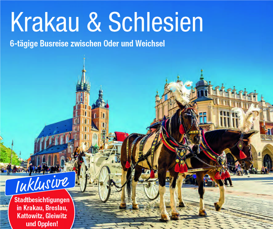 trendtours Reise Altstadt Krakau mit geschmückten Pferden und Kutsche im Vordergrund