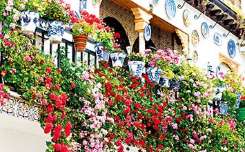 Andalusien Bunte Blumenranken am Balkon Gebäude