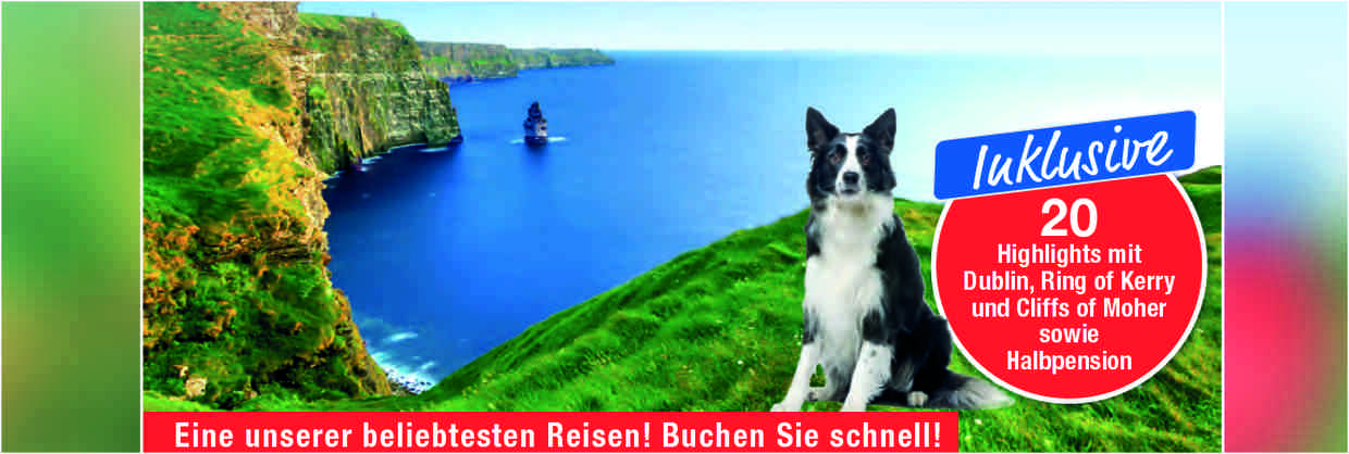 Blick auf die grüne Küste und Meer Hund als Werbung