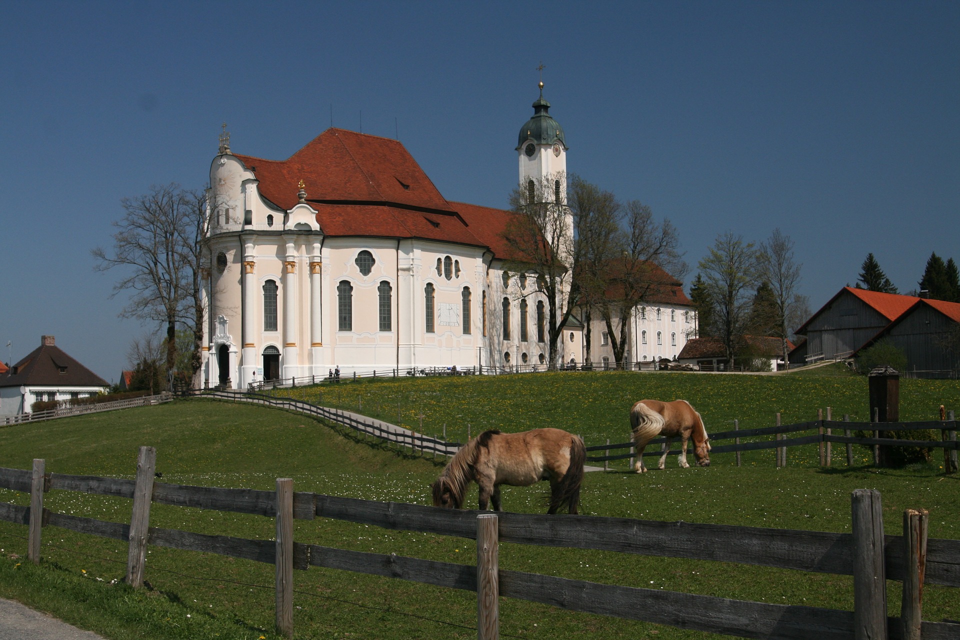 Busreise Bayern Wieskirche weiße Kirche auf grünem Hügel und Pferde