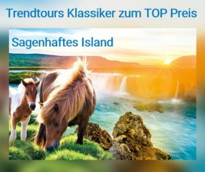Island grüne Küste Pferd Wasserfall