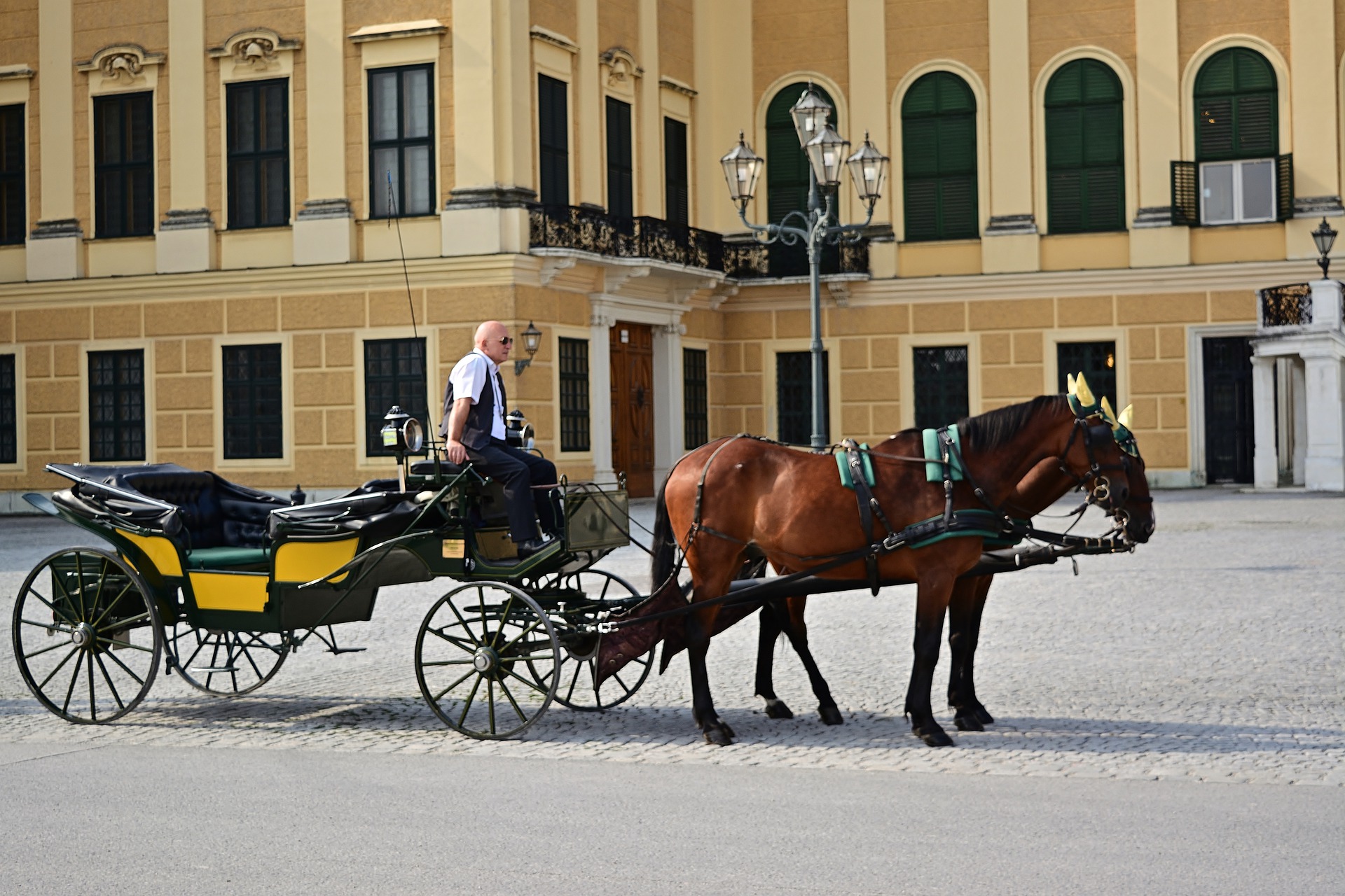 Busreise Wien Pferd und kutsche helles altes Gebäude im Hintergrund