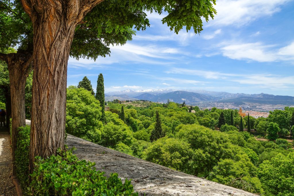 Spanien Blick auf grüne Landschaft Berge