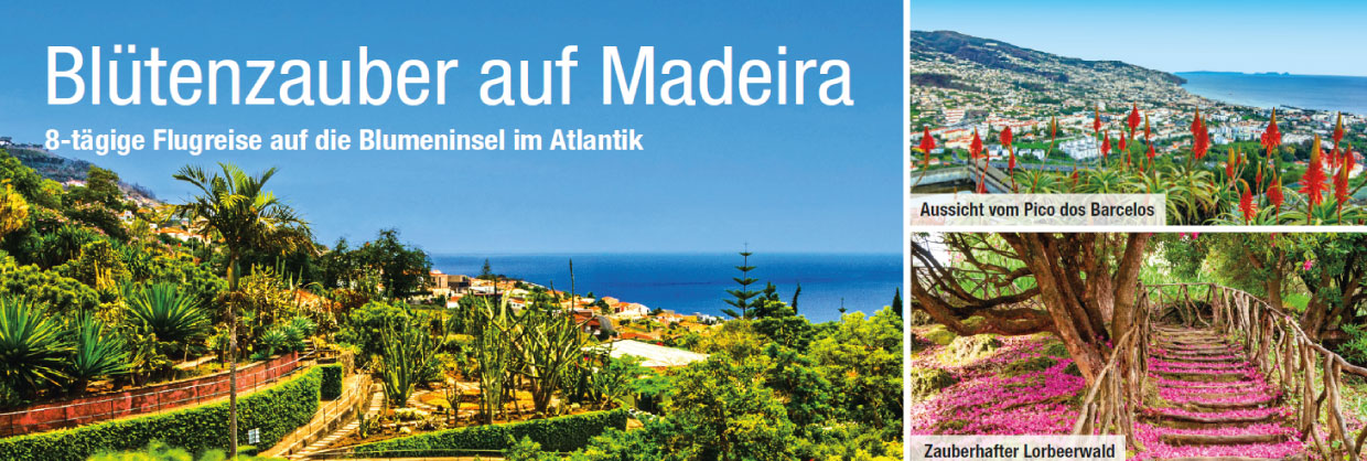 trendtours Blütenzauber auf Madeira Blumen Bäume Meer