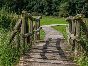 Firmenreisen Wandern Holzbrücke im Grünen