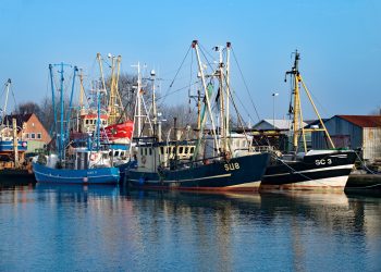büsum hafen
