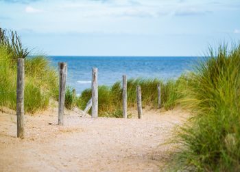 Düne Ostsee mit Gräsern und Holzpfählen
