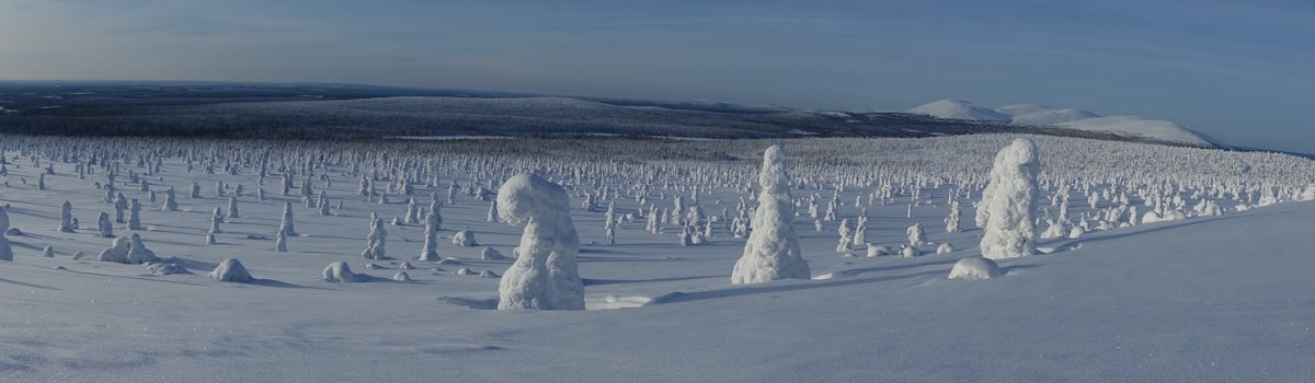 Winterlandschaft Lappland weiter offener Blick
